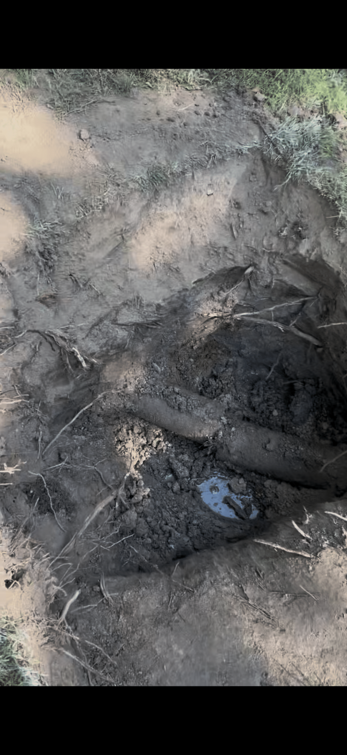 separated sewer line